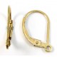 1 Pair 14k/20 GoldFilled Leverback Earrings (Continental Ear Fittings)