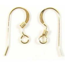 1 Pair 14k/20 Gold Filled FishHook Style Earwires Earring Fittings with Coil