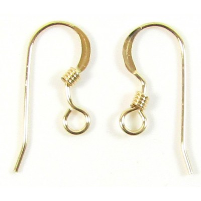 1 Pair 14k/20 Gold Filled FishHook Style Earwires Earring Fittings with Coil