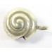 1 Karen Hill Tribe Silver Nautilus Shell Charm