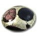 1 Murano Glass White Goldfoil Extravagant Amethyst and Purple Velvet 16mm Lentil