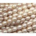 1 Strand Pale Pink Freshwater Pearls Rice Shape Approx. 8mm.