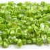 1 Strand Keshi Cornflake Green Freshwater Pearls