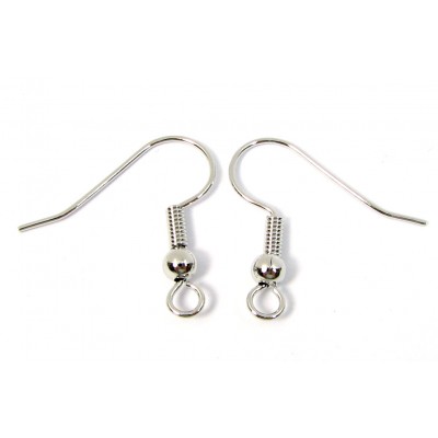 10 Pairs Silver Plated Earwires