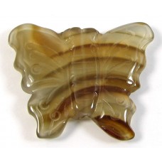 1 Carnelian Carved Butterfly Pendant