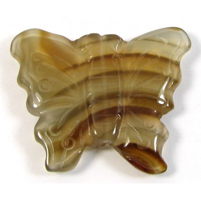 1 Carnelian Carved Butterfly Pendant
