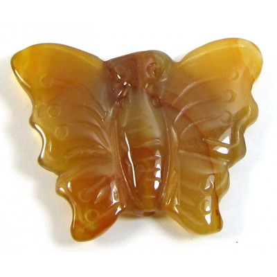 1 Carnelian Carved Butterfly Pendant