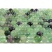 1 Strand Rainbow Fluorite 8mm Round Beads