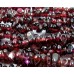 1 Strand of Garnet Chips