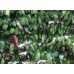 1 Strand Ruby In Zoisite Chip Beads