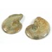 Matched Pair Polished Madagascar Ammonite Fossil Halves 28x24mm