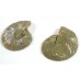 Matched Pair Polished Madagascar Ammonite Fossil Halves 30x26mm