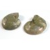 Matched Pair Polished Madagascar Ammonite Fossil Halves 30x26mm