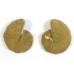 Matched Pair Polished Madagascar Ammonite Fossil Halves 30x26mm
