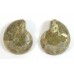 Matched Pair Polished Madagascar Ammonite Fossil Halves 30x26mm