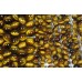 1 Strand Tigers Eye 6mm Round Beads