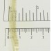 1 Metre 6mm Gold Metallic Tubular Mesh Ribbon