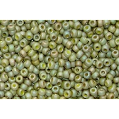 25gr Matsuno 11/0 Rocailles - Matte Dry Lime