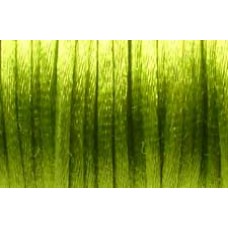 5 metres Avocado Satin Rattail 3mm Cord